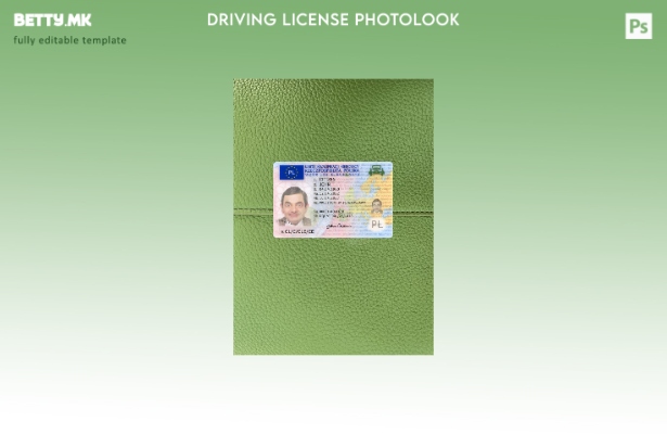 Модерен стил Полска возачка дозвола го претставува предниот шаблон со photolook